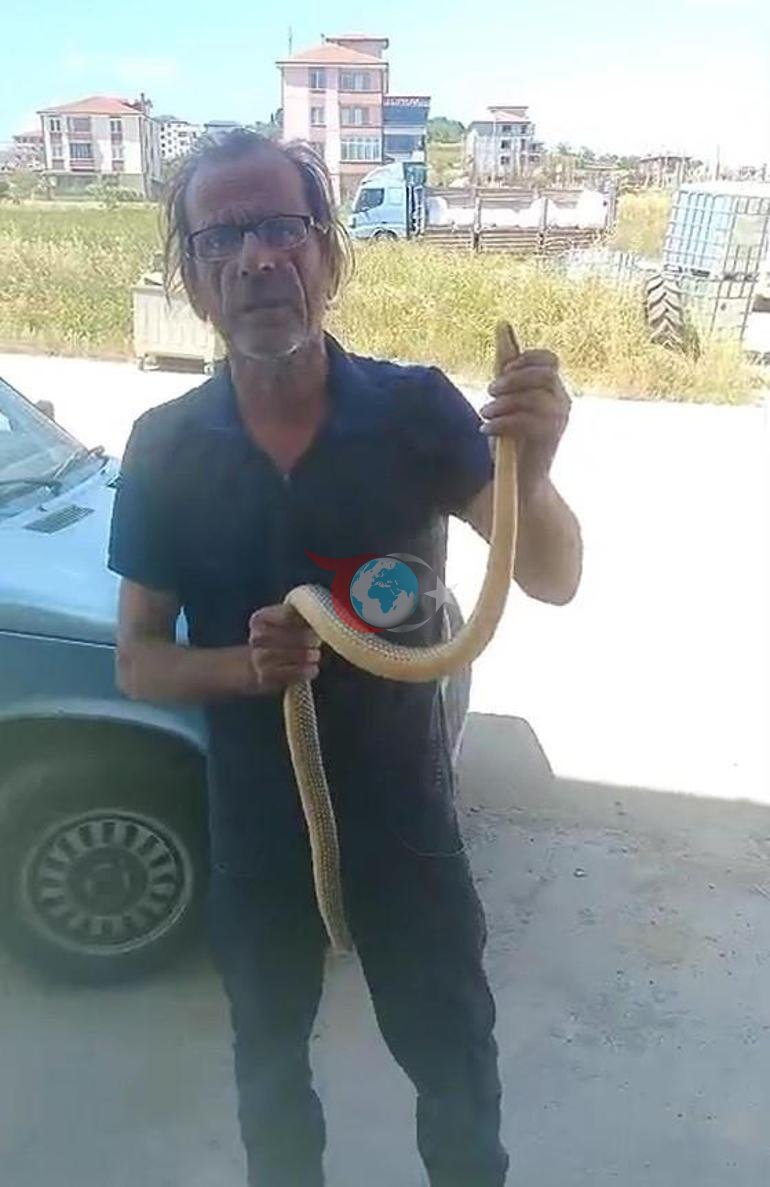 Sakaryada ilan görəndə ağlına yalnız bir ad gəlir. Onu çılpaq əli ilə tutur və təbiətə buraxır=