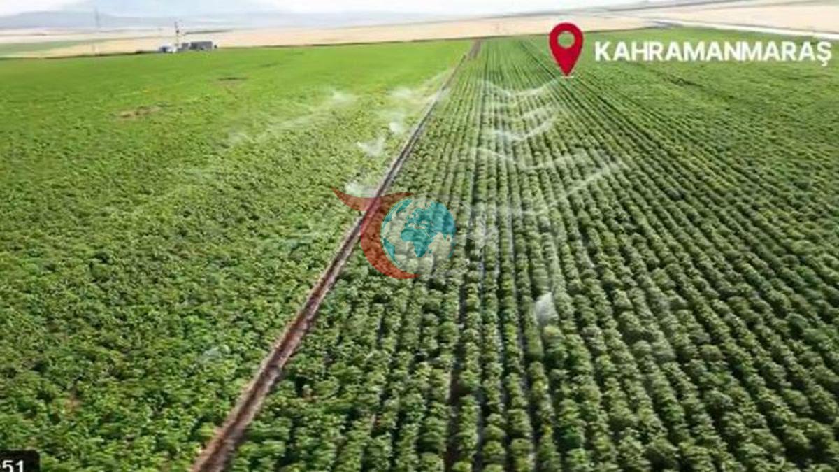 Kahramanmaraş'ta 4 Milyar TL'lik Sulama Projesi Başlıyor
