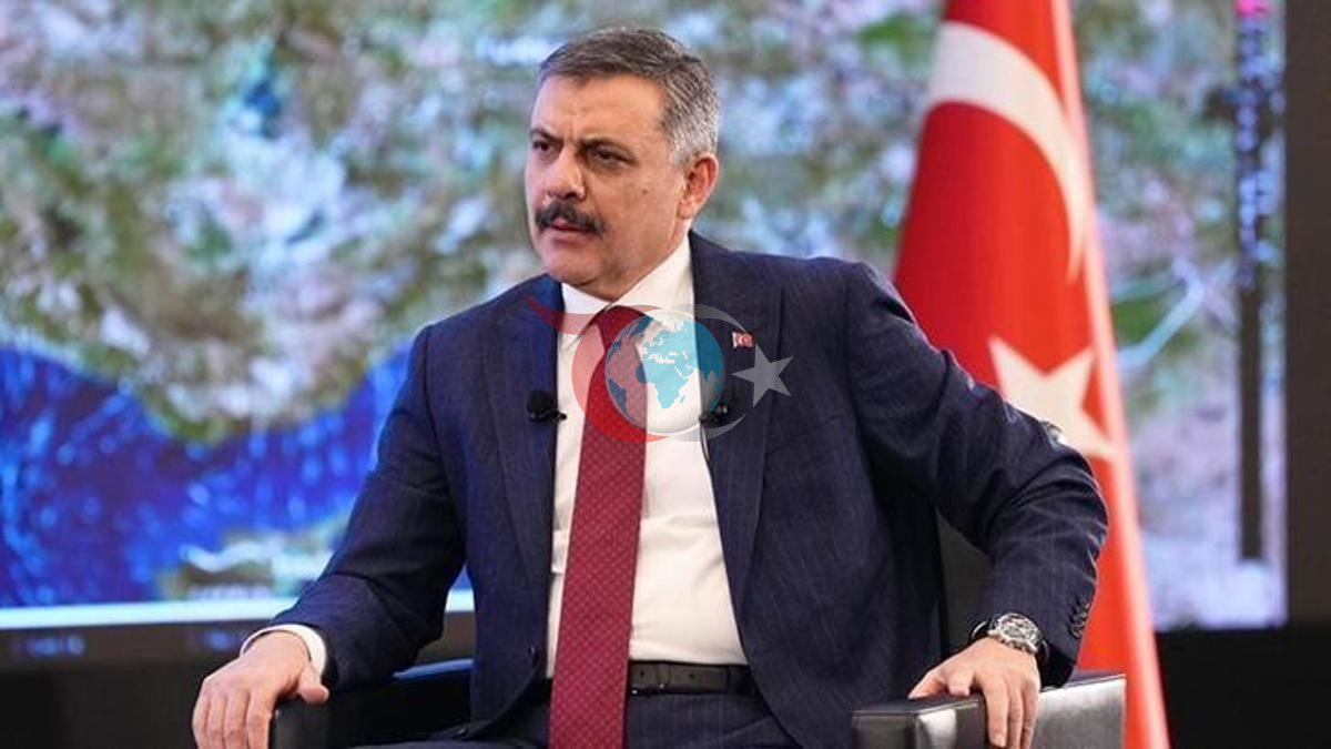 Bakan Çiftçi'den Trafik ve Sokak Hayvanları Üzerine Çarpıcı Açıklamalar