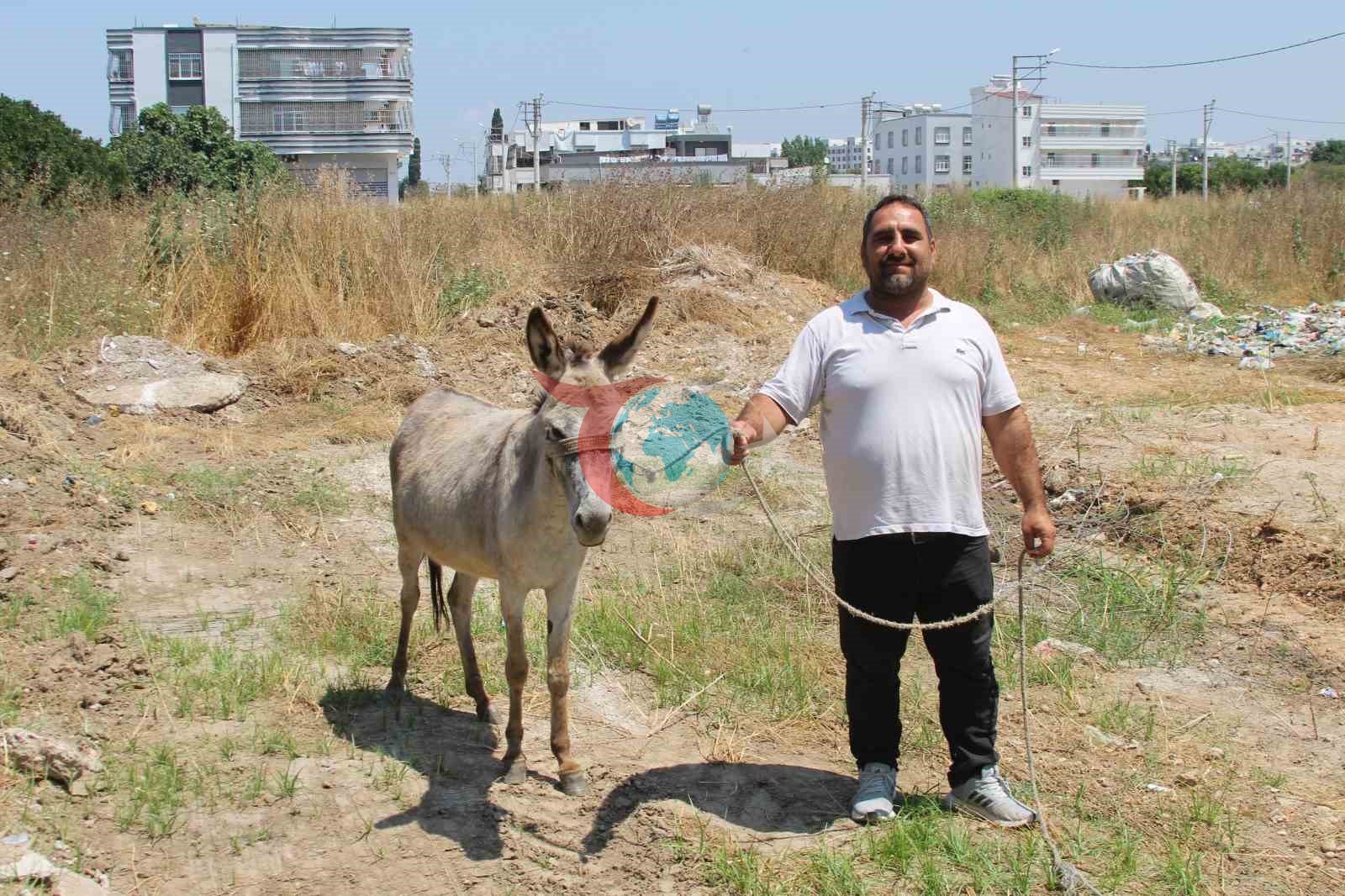 Adana'da Sahipsiz Eşekler İçin Seferberlik Başladı