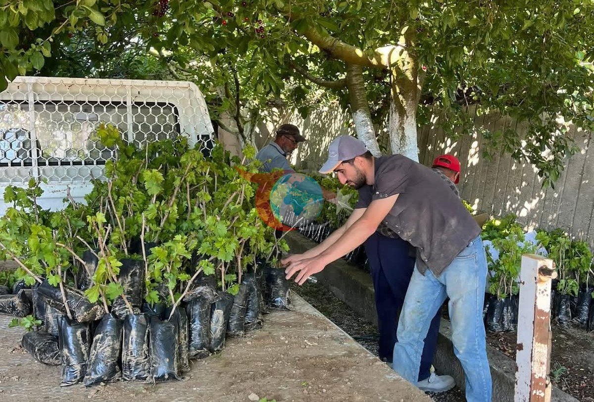 Üzüm Fidancılığına İki Kardeşten Milyonluk Destek