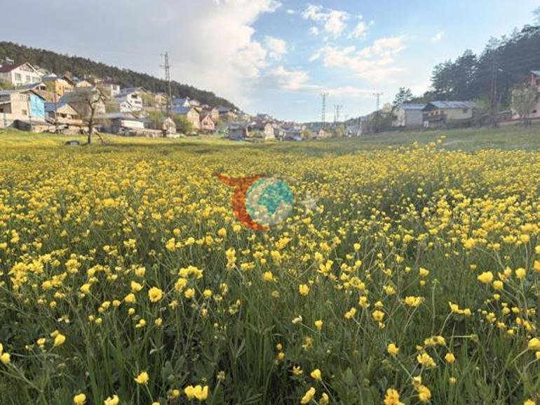 Turkiyada shunday joy borligini juda kam odam biladi. Yozning o'rtalarida pechka yonadi