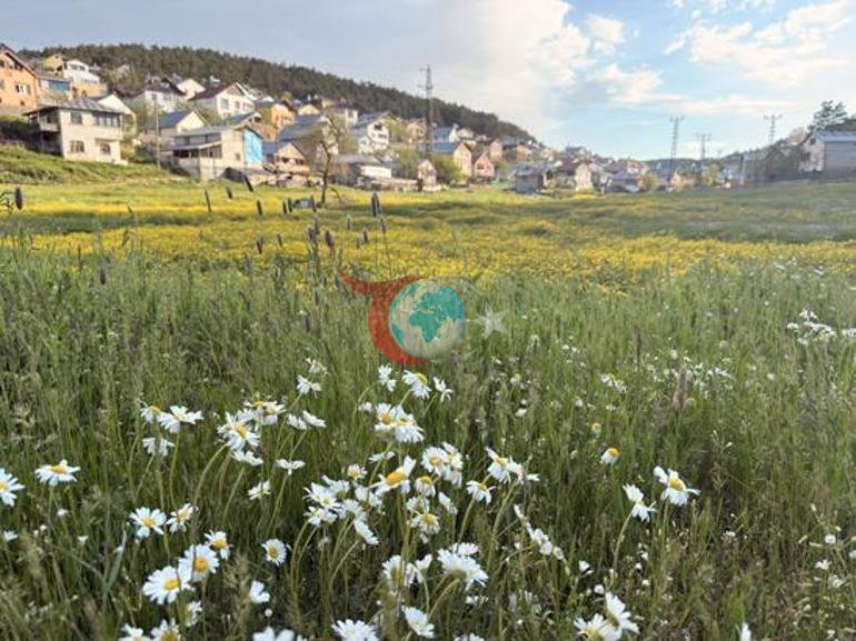 Turkiyada shunday joy borligini juda kam odam biladi. Yozning o'rtalarida pechka yonadi