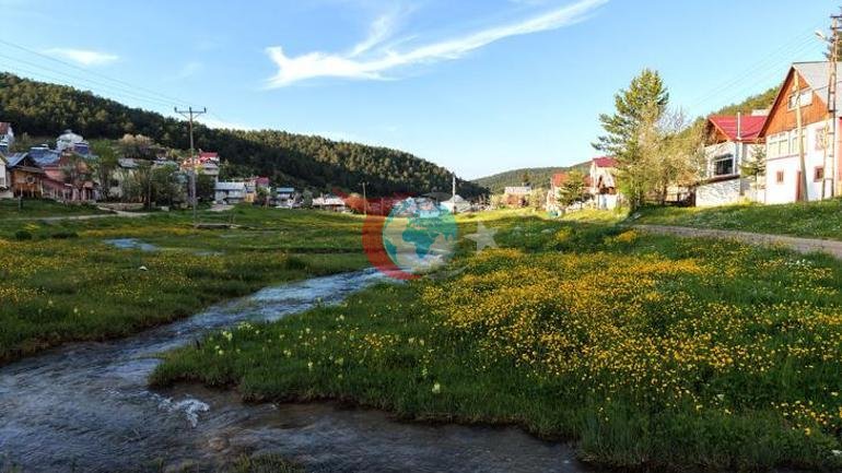 Turkiyada shunday joy borligini juda kam odam biladi. Yozning o'rtalarida pechka yonadi