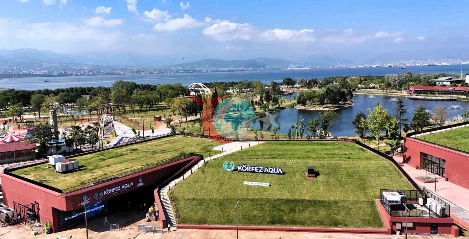 Kocaeli'de Açılan Dev Akvaryum: Su Altı Dünyası Keşfe Açılıyor