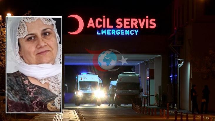 Diyarbakır'da Şok Edici Cinayet: Kayınpeder Gelinini Öldürdü