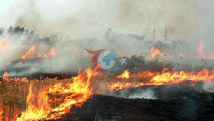 Karamanda Dəhşətli Hadisə: Yaşlı Qadın Yanğında Öldü