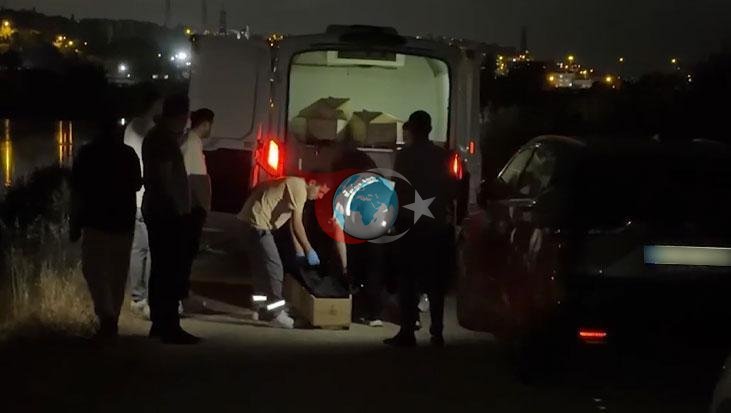 İstanbul'da Korkunç Cinayet: Taşla Vurularak Öldürülen Kadın Bulundu