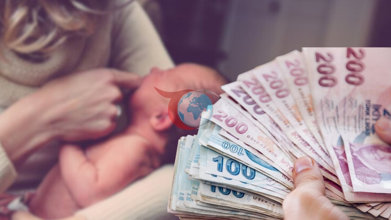 SED Programı ile 11 Milyar TL'lik Destek Sağlandı