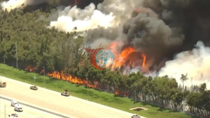 Florida'da Orman Yangınları: 2 Bin Hektar Yok Oldu