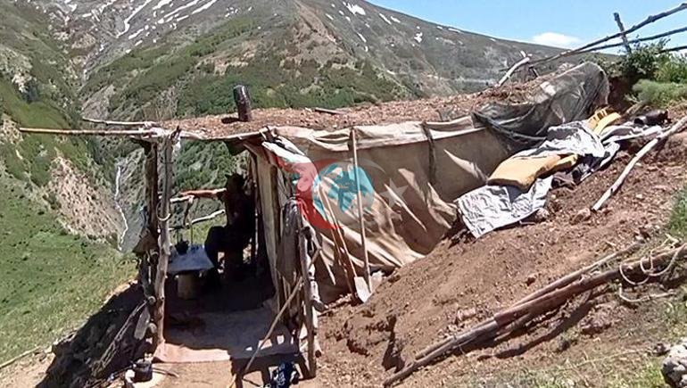O, 40 ildir ki, eyni dağda tək yaşayır. Hər gecə ayı və qurdu gözətləyir.