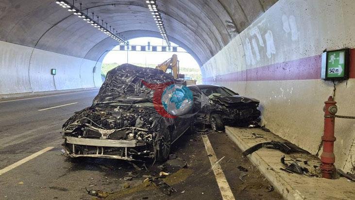 İstanbul Tünelinde Kaza: Hayvanlar Telef Oldu, Yaralı Var