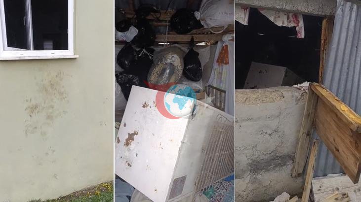 Rize'de Ayı Korkusu: 20 Evi Ziyaret Eden Ayı, Yayla Halkını Tedirgin Etti