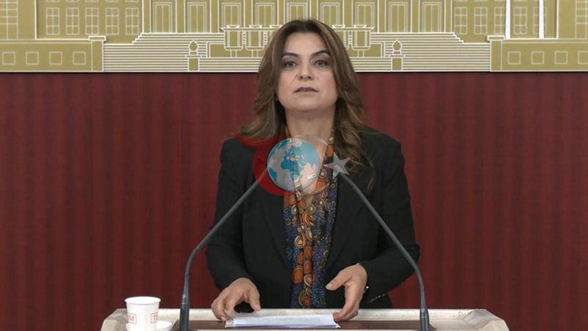 DEM Parti'den TBMM'ye Çerçeve Yasa Çağrısı: Barış İçin Acil Adım