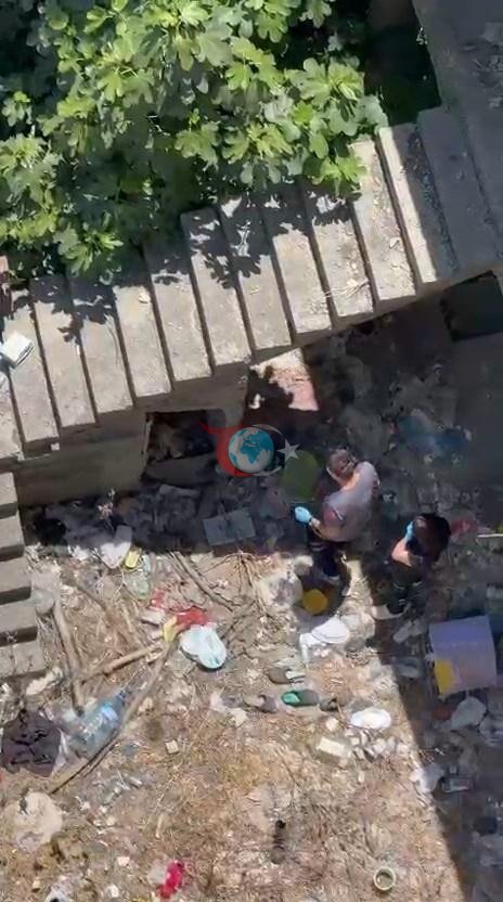 Sarıyer'de Kedisi İçin Girdiği Metruk Binada Ceset Buldu
