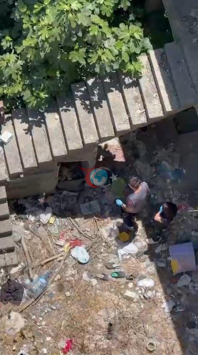 Kedisini ararken metruk binaya girdi Erkek cesedi buldu