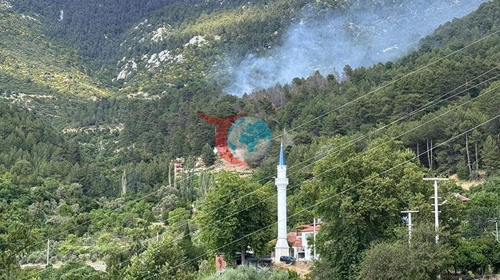 Antalya Kaş'ta Orman Yangınına Hızlı Müdahale