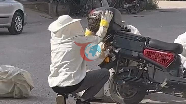 Motosikletin Üzerinde Arı İstilası! İnegöl'den İlginç Görüntüler