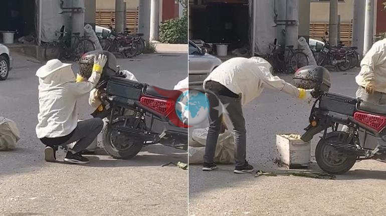 Motosikleti görənlər gözlərinə inana bilməyiblər. Yolun ortasında arılar onu işğal edib