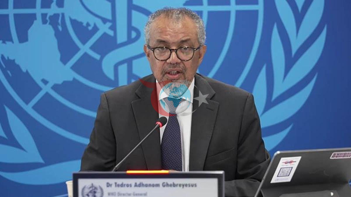 DSÖ: Hantavirüs Salgını Kontrol Altına Alınıyor