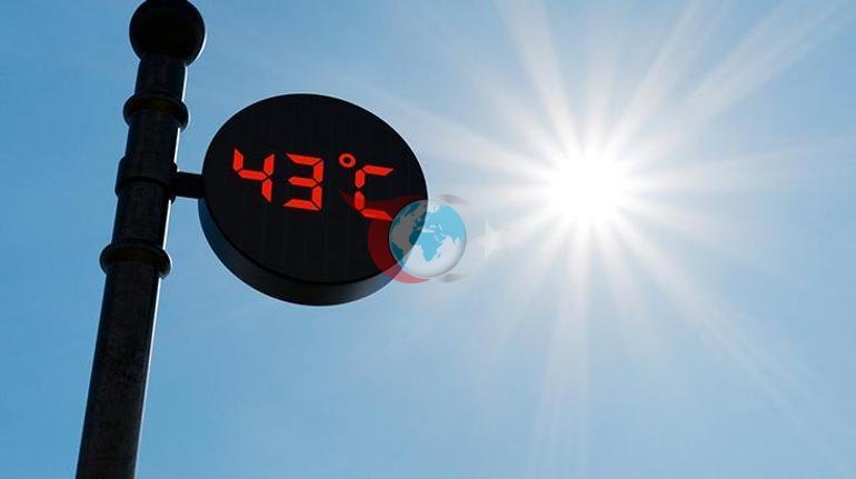 Avrupa sıcaktan kavruluyor Can kaybı artıyor: Alarm verildi