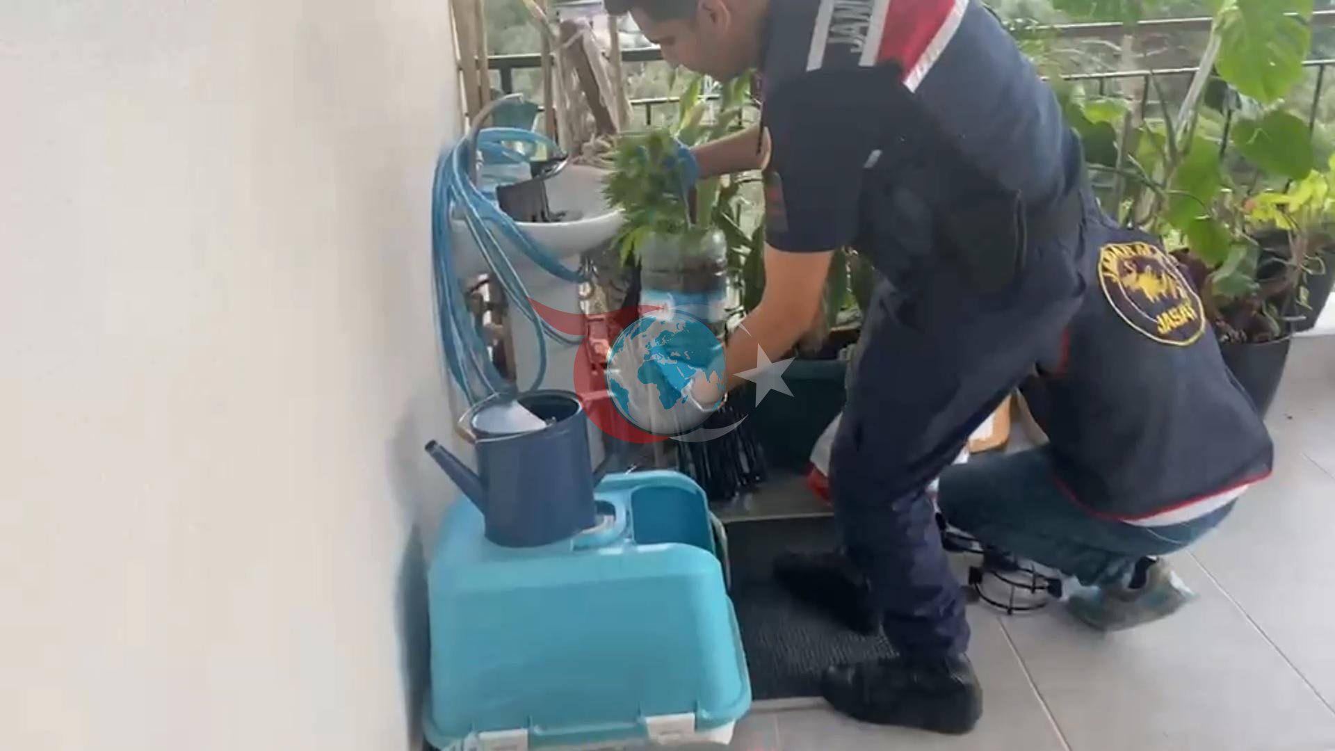 Jandarma 5 İlde Uyuşturucu Operasyonuyla 341 Şüpheliyi Gözaltına Aldı