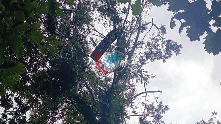 Самсун және Кастамонуда ұшқышсыз авиация дабылы үйдің бақшасы мен жасыл алаңына құлады