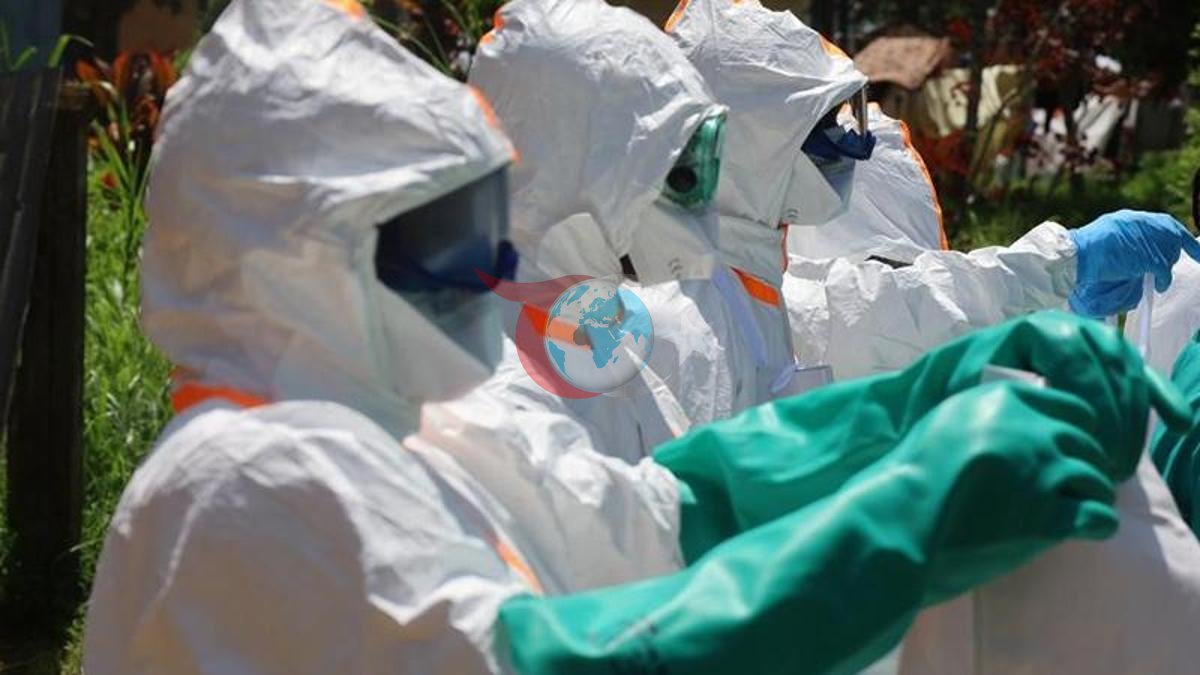 Ebola Salgını KDC'de 267 Can Aldı: DSÖ Uyarıyor
