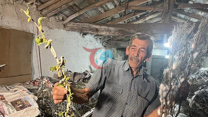 Ankara'da İpek Böceği Yetiştiriciliği: 40 Günde 216 Bin Lira Gelir