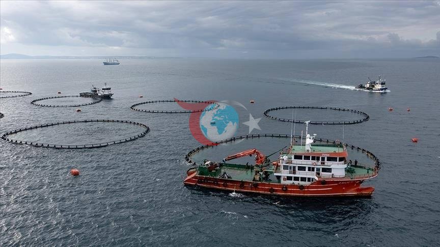 Doğu Karadeniz’den dev ihracat atağı! 5 ayda tam 73 milyon dolar kazandırdı