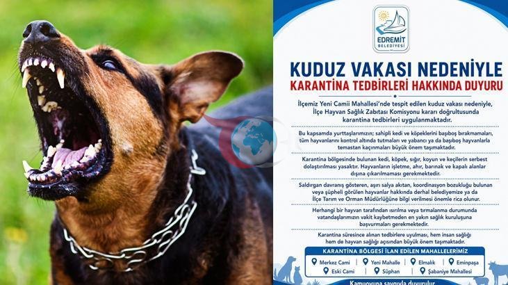 Edremit'te Kuduz Karantinası: Vatandaşlara Önemli Uyarılar