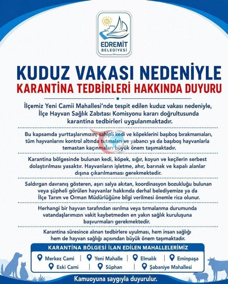 İlk vaka tespit edildi Bir ilimizde kuduz karantinası; vatandaşlara kritik uyarılar