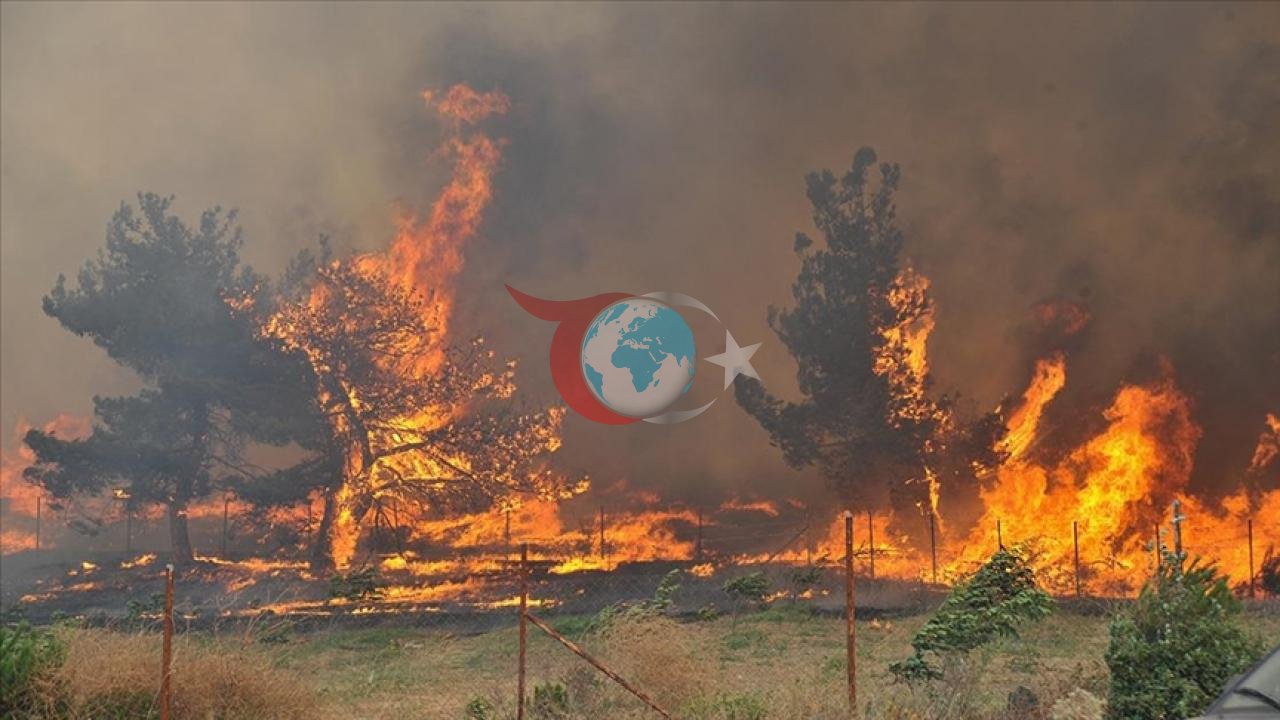 Fransa'da Yüksek Sıcaklıklar ve Yangın Tehlikesi Alarmları Yükseltti