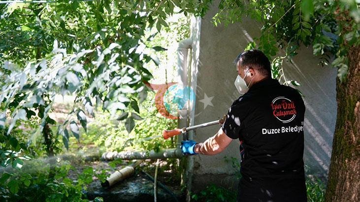 Düzce'de Artan Asya Kaplan Sivrisineği Tehlikesine Karşı Uyarı