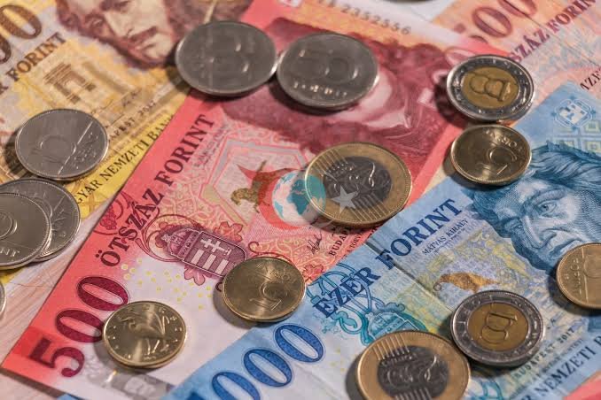 Macaristan, Euro'ya Geçiş İçin Hazırlıklarını Hızlandırıyor