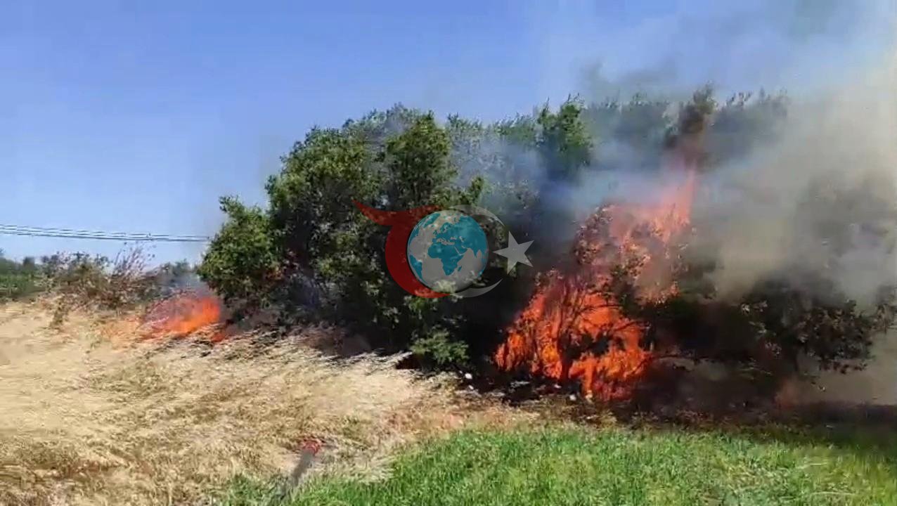 Çanakkale'de Ezine'deki Yangın Kontrol Altına Alınmaya Çalışılıyor
