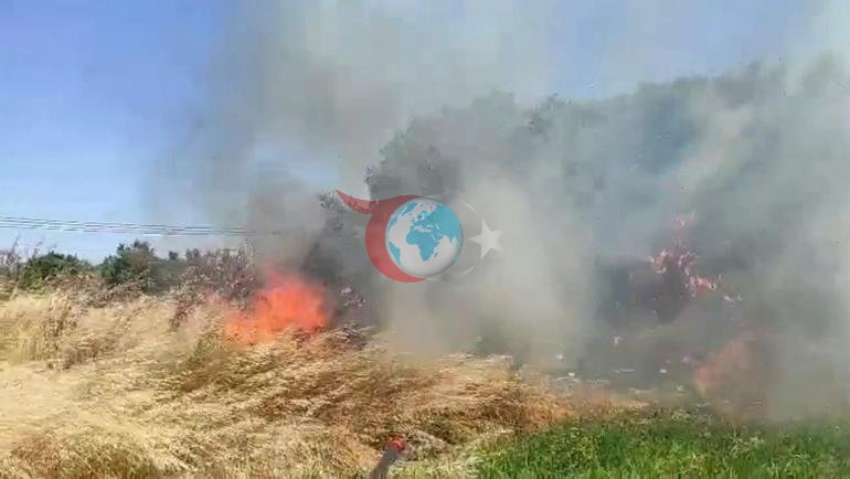 Çanakkalede korkutan yangın Alevler rüzgarla büyüdü