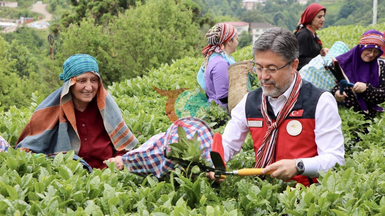 Çay Üreticilerine 2.7 Milyar Liralık Destek Ödemesi Yapıldı