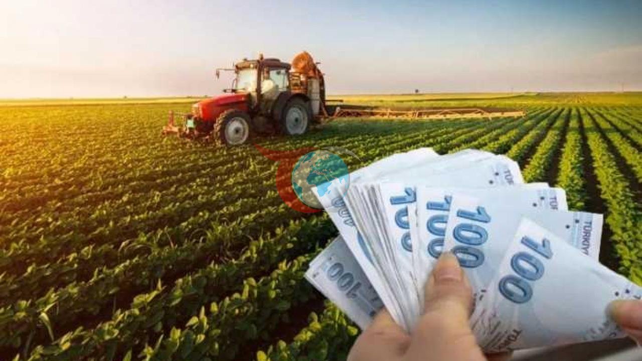 Çiftçilere Müjde: Çay Destek Ödemeleri Hesaplarda