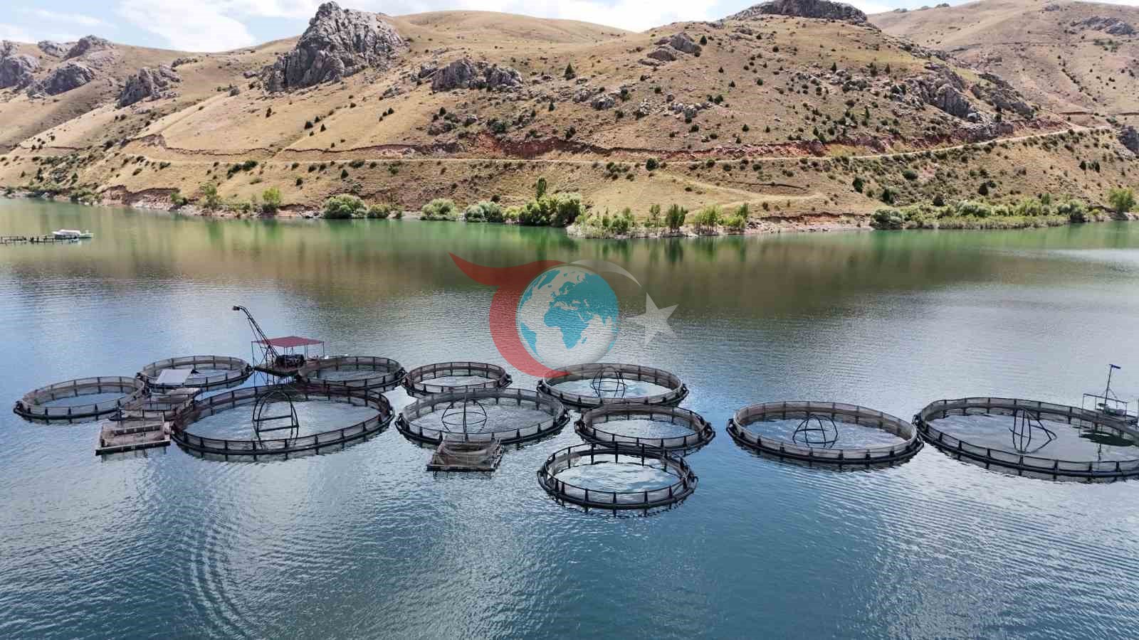 Alabalık Üretimi ve İhracatıyla Erzincan'dan Dünya Pazarına