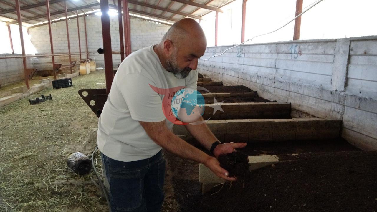 Bahçesindeki Solucan Gübresi İle Yılda 6 Ton Üretim!