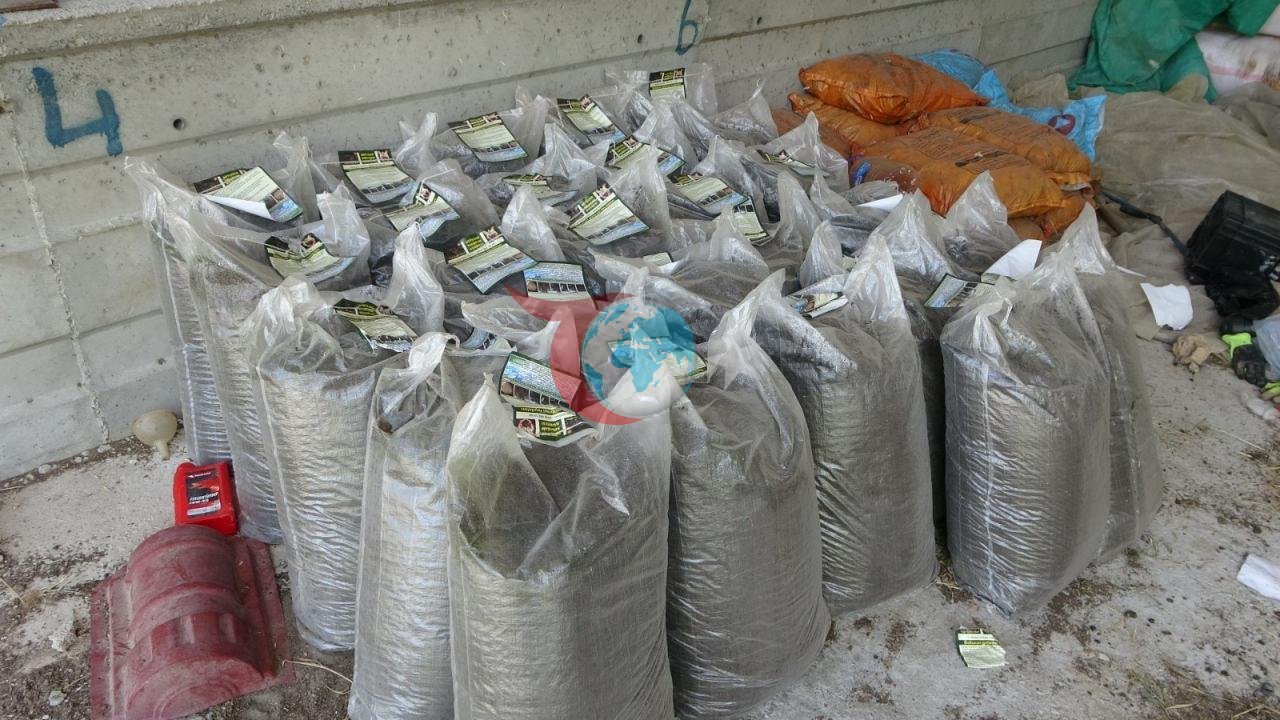 Evinin bahçesinde servet kapısı açtı: Yılda 6 tonluk doğal mucize!