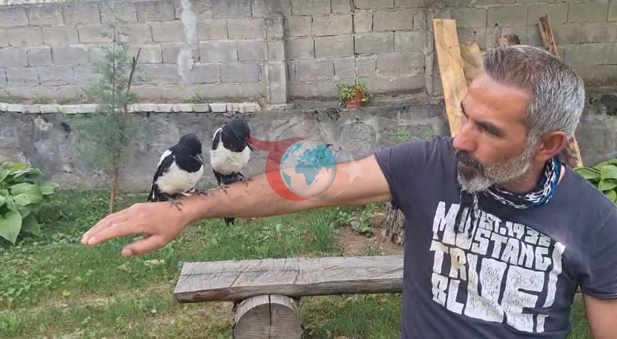 Erzincan'da Yavru Kuşları Doğaya Kazandıran Adamın Hikayesi