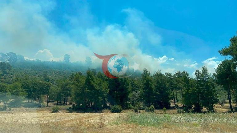 Muğlada orman yangını Havadan karadan müdahale