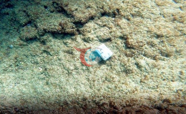 Denizden çıkarıp sosyal medyada paylaştı: Peşini bırakmıyorlar