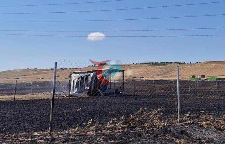 Tekirdağda tarlada çıkan yangın baraka ve konteynerlere sıçradı