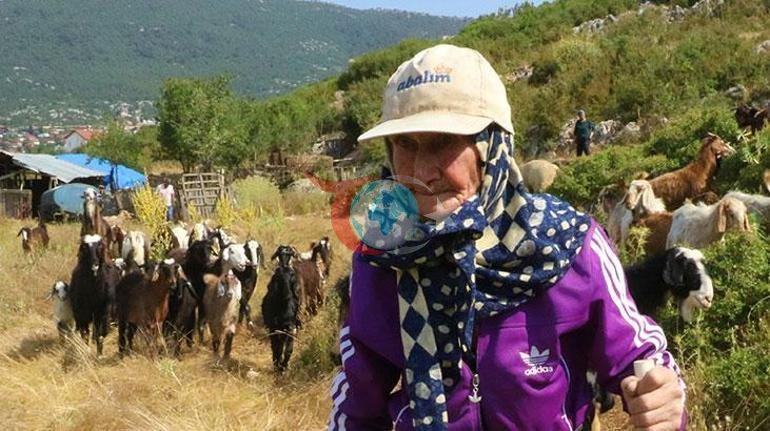 94 yaşında, 90 yıldır dağlarda Emine Nineden ilham veren yaşam hikayesi