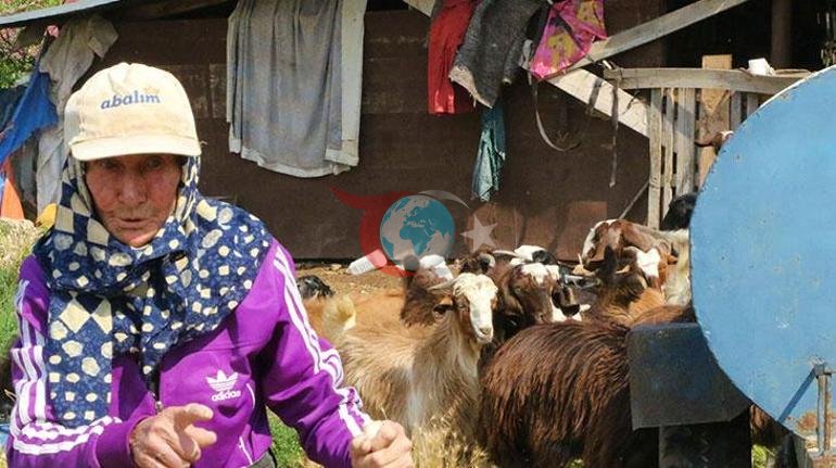 94 yaşında, 90 yıldır dağlarda Emine Nineden ilham veren yaşam hikayesi