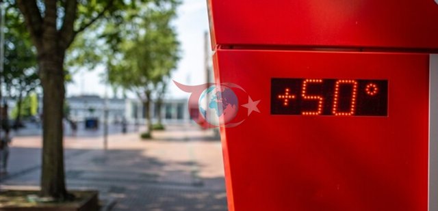 Avrupa sıcaktan kavruluyor! 109 kişi hayatını kaybetti, cenaze salonları doldu - Resim: 1
