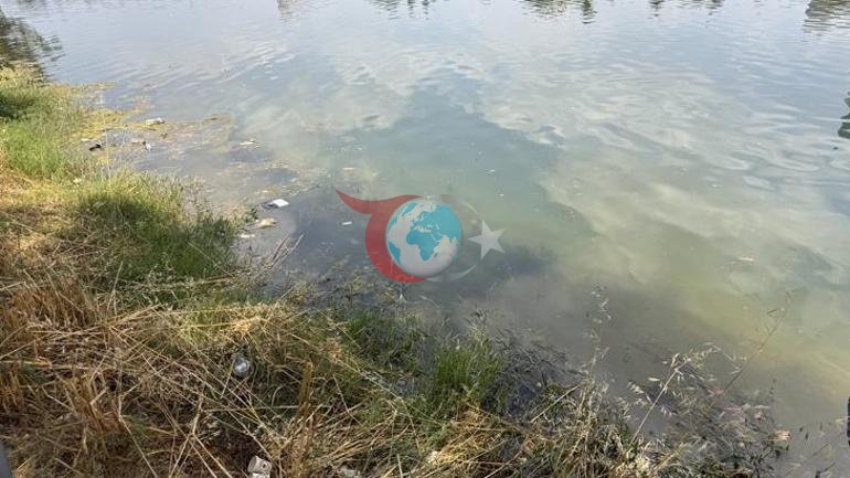 Adananın kalbindeki görüntü tepki çekti Turistler gördüklerine inanamadı